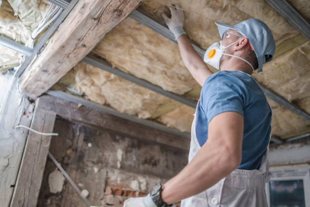Best Insulation for New Construction  in Scottsbluff, NE