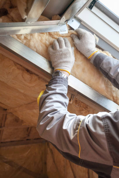 Best Wall Insulation Contractor  in Scottsbluff, NE