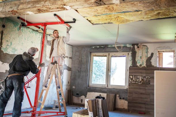 Best Local Insulation Services  in Scottsbluff, NE