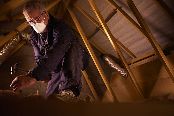 Best Crawl Space Insulation  in Scottsbluff, NE